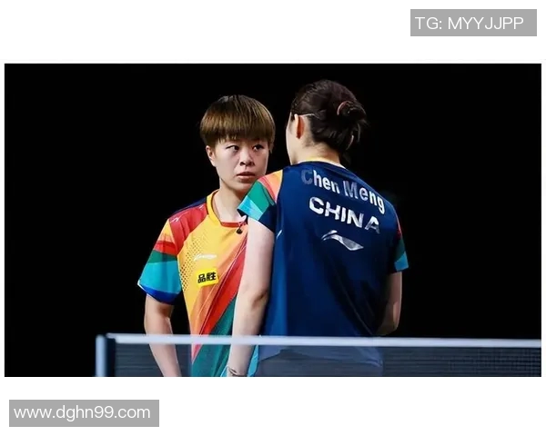 赛后分析:深圳乒乓球队与杭州乒乓球队速度对比及战术探讨